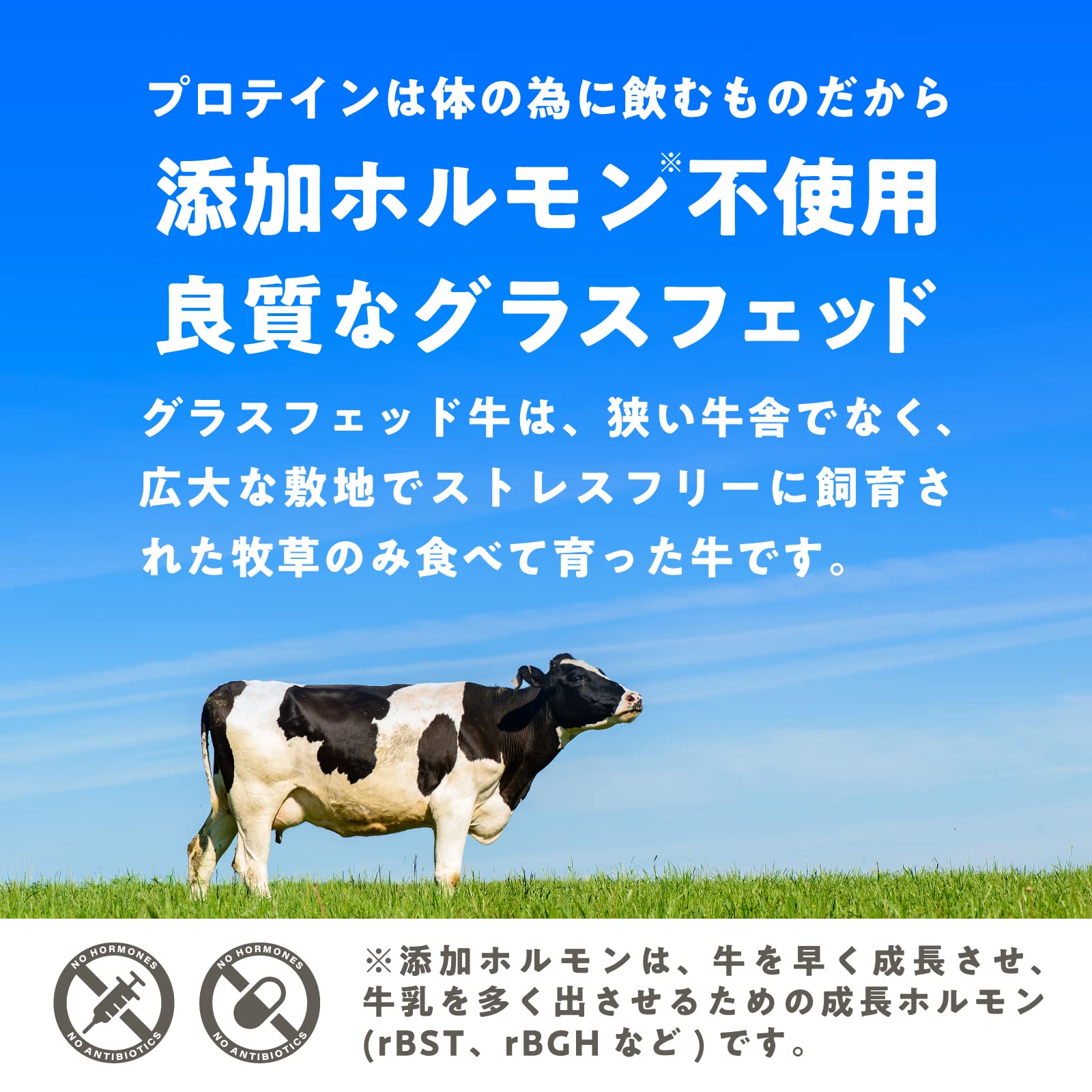 Amazon | LOHAStyle(ロハスタイル) グラスフェッド ホエイプロテイン